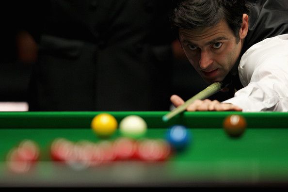 森林狼凭借 森林狼凭借